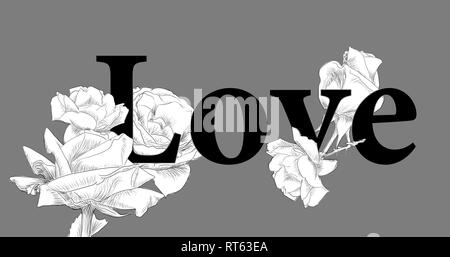 Appelée  love concept roses noir, on   fond gris par jziprian Banque D'Images