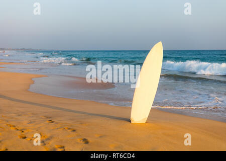 La planche de surf à la plage. Banque D'Images