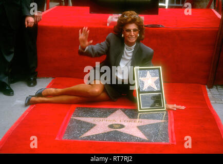 HOLLYWOOD, CA - 1 février : l'Acteur Charlton Heston et actrice Sophia Loren assister à la Hollywood Walk of Fame Cérémonie en l'honneur de Sophia Loren, le 1 février 1994 au 7060 Hollywood Boulevard à Hollywood, Californie. Photo de Barry King/Alamy Stock Photo Banque D'Images