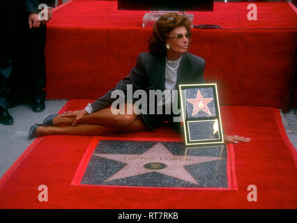 HOLLYWOOD, CA - 1 février : l'Acteur Charlton Heston et actrice Sophia Loren assister à la Hollywood Walk of Fame Cérémonie en l'honneur de Sophia Loren, le 1 février 1994 au 7060 Hollywood Boulevard à Hollywood, Californie. Photo de Barry King/Alamy Stock Photo Banque D'Images