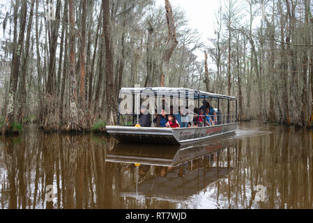 Marais de Louisiane, vue de touristes à bord d'un bateau à fond plat au cours d'un voyage le long de la rivière des Perles dans le bayou de Louisiane, USA Banque D'Images