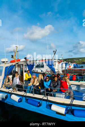 Tour des îles Skelling, Portmagee Harbour, comté de Kerry, Irlande, Europe Banque D'Images