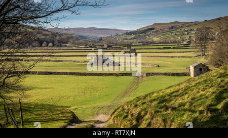 Swaledale dans le Yorkshire Dales National Park ses parties supérieures sont particulièrement remarquables en raison de son grand ancien domaine des granges en pierre calcaire , murs Banque D'Images