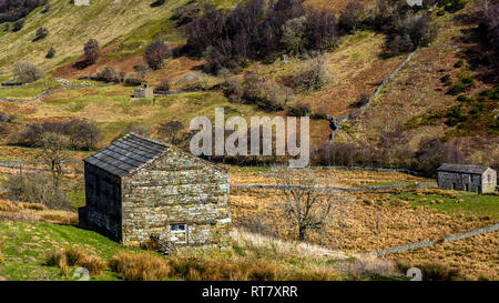 Swaledale dans le Yorkshire Dales National Park ses parties supérieures sont particulièrement remarquables en raison de son grand ancien domaine des granges en pierre calcaire , murs Banque D'Images