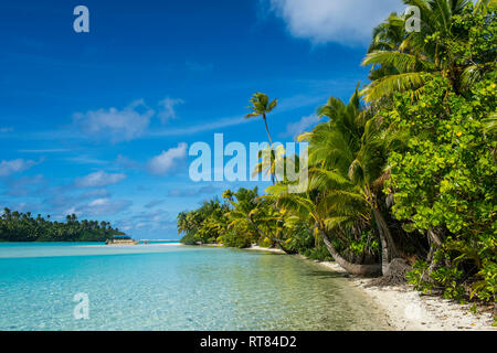 Les Îles Cook, Rarotonga, Aitutaki Lagoon, plage de sable blanc et de palm beach Banque D'Images