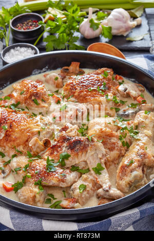 Fricassée de poulet chaud dans une cocotte noire - la viande de poulet doré et mijotée dans du vin blanc, sauce crème aux champignons et légumes, français authentique Banque D'Images