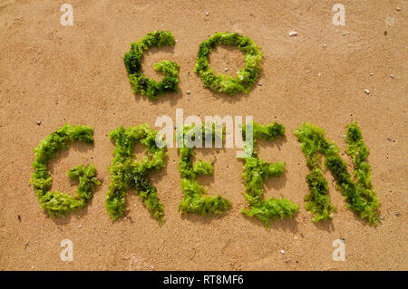 'Go Green' texte faite avec des algues vertes sur la plage de Sanur à Bali, Indonésie sur une journée ensoleillée Banque D'Images