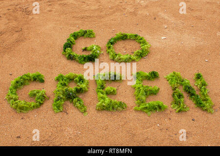 'Go Green' texte faite avec des algues vertes sur la plage de Sanur à Bali, Indonésie sur une journée ensoleillée Banque D'Images