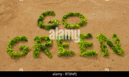 'Go Green' texte faite avec des algues vertes sur la plage de Sanur à Bali, Indonésie sur une journée ensoleillée Banque D'Images