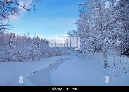 Un petit ruisseau recouvert de glace passe par une forêt d'hiver enneigé. Banque D'Images