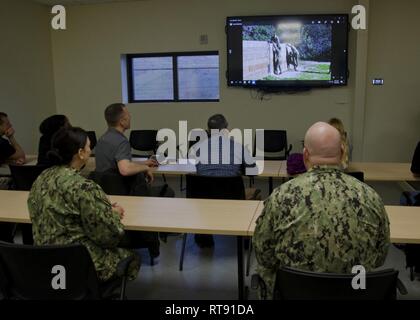 CAMP PENDLETON, en Californie (janv. 30, 2019) - Arrière Adm. Tina Davidson, médecine de la marine de l'éducation, de la formation et de la logistique (Commande) NMETLC commandant et directeur du Corps infirmier de la marine, et NMETLC maître commande Chef Richard Putnam regarder des photos des élèves en passant par l'équipe de chirurgie de contrôle des dommages légers Cours Manœuvre Rôle II (R2-LM) au corps expéditionnaire de la Marine Institut de formation médicale (NEMTI) avant d'effectuer une visite de l'installation. Davidson et Putnam ont visité le Centre de formation en traumatologie de la Marine (NTTC), NEMTI, Centre de formation en survie de l'Aviation (ASTC) Miramar, Surface Warfare Medical Institute (SWMI) et de la Marine Banque D'Images