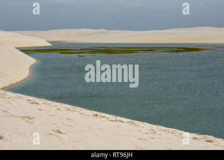 Lagoon sur le milieu des dunes du Parc National Lençois à Maranhenese au Brésil Banque D'Images