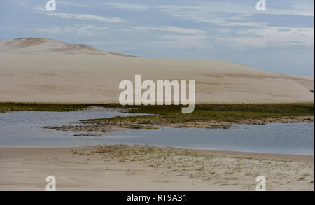 Lagoon sur le milieu des dunes du Parc National Lençois à Maranhenese au Brésil Banque D'Images