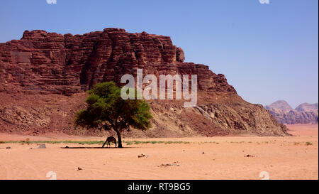 Le désert de Wadi Rum en Jordanie Banque D'Images