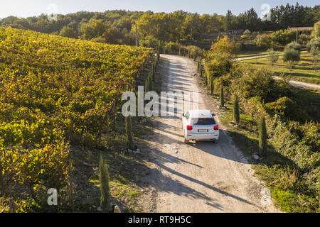 Italie, Toscane, Sienne, la conduite sur un chemin de terre à travers un vignoble Banque D'Images