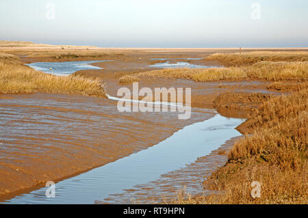 Un ruisseau au jusant serpentant à travers les marais de sel sur la côte nord du comté de Norfolk à Thornham, Norfolk, Angleterre, Royaume-Uni, Europe. Banque D'Images