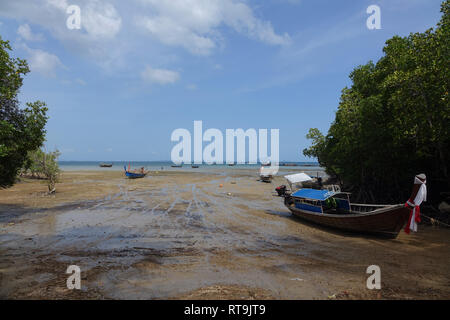 À marée basse, East Railay de Krabi, Thaïlande Banque D'Images