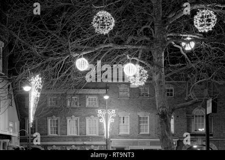 Lumières de Noël dans les arbres à côté de l'avion en stquare marché St Neots Cambridgeshire Angleterre Banque D'Images