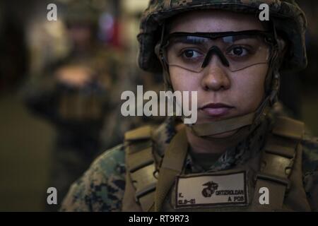 Le Cpl. Karina Ortiz-Roldan, une administration des approvisionnements de combat maritime avec 31 Bataillon logistique, attend à l'intérieur du hangar bay avant un petit-pont d'armes tirer à bord du navire d'assaut amphibie USS Wasp LHD (1), en cours dans la mer des Philippines, le 1 février 2019. Ortiz-Roldan, 24, originaire de Mayaguez, Puerto Rico, a terminé ses études à l'Escuela Superior Dr Perea Fajardo High School en 2012 avant de s'enrôler en septembre 2016. Marines avec bec-31, l'élément de combat de la logistique pour la 31e Marine Expeditionary Unit, aiguisé leur adresse au tir et de ciblage étendues au cours de l'exercice. La 31e MEU, la Marine Co Banque D'Images