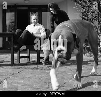 John Surtees avec femme et animaux chiens Boxer 1966 Banque D'Images