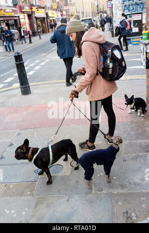 Jeune femelle dog-walker sur rue de Londres, Royaume-Uni. Banque D'Images