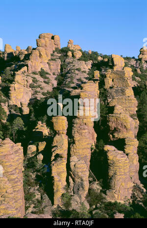 Aux Etats-Unis, l'Arizona, Monument National Chiricahua, lumière du soir sur les flèches et des pinacles dans Echo Canyon formé par l'érosion, de tuf rhyolite, une roche volcanique. Banque D'Images