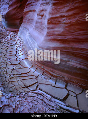 USA, frontière Arizona-Utah, Vermilion Cliffs National Monument, affiche les détails de l'érosion de grès au-dessus de la boue séchée, fêlé dans Buckskin Gulch. Banque D'Images