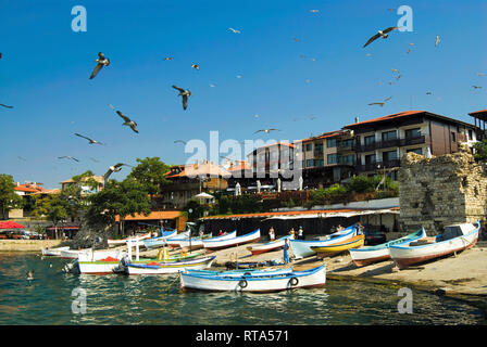 Vieux port de pêche, bateaux et vol de mouettes à Nessebar, Bulgarie Banque D'Images