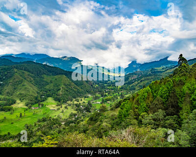 Beau paysage panoramique de la vallée de Cocora dans le Salento, Colombie Banque D'Images