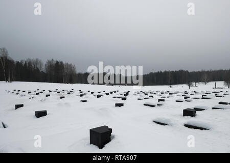 Couvertures de neige L'installation du 'cimetière des villages' avec 185 tombes dans lesquelles chaque tombe symbolise un village particulier en Biélorussie qui a été brûlé avec sa population placé au mémorial national de Khatyn de la République de Biélorussie le mémorial central de guerre de Biélorussie pour toutes les victimes de la occupation allemande pendant la seconde Guerre mondiale situé dans le district de Logoisky, dans la région de Minsk Banque D'Images