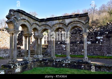 Rievaulx Abbey cloître d'arcade. Banque D'Images