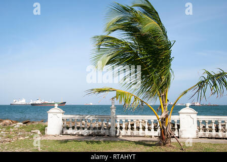 L'avis de Colon city waterfront palmier avec les navires à la dérive dans la baie de limon dans un contexte (Panama). Banque D'Images