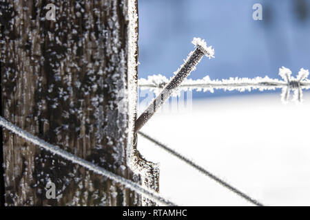 Une macro photo de givre sur les barbelés près de Coeur d'Alene, Idaho. Banque D'Images