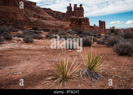 Arches et de formations rocheuses dans Arches National Park, Utah. Banque D'Images