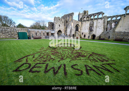 Les jonquilles et l'écorce des arbres créer un portrait de Saint David, saint patron du Pays de Galles, faites par l'artiste gallois et BGT Nathan Wyburn finaliste, dans la cour de St Davids évêché de St David, Pembrokeshire, Pays de Galles, dans le cadre des célébrations partout au pays le 1er mars. Banque D'Images