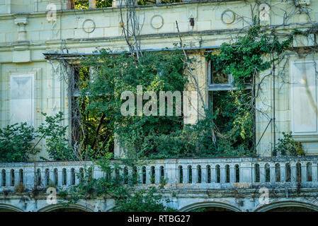 La végétation dans les ruines, la nature prend son droit de retour Banque D'Images