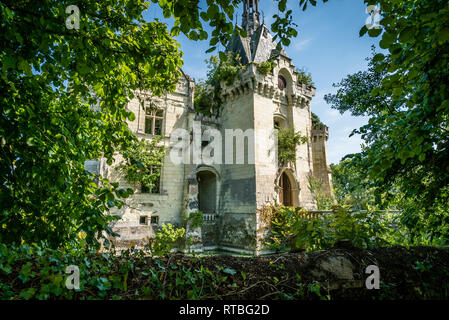 Vieux château perdu dans la forêt avec des arbres à l'intérieur Banque D'Images