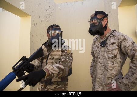 Membre de l'illustre des forces d'opérations spéciales de compensation de chambre techniques pour un but spécial U.S. Marine avec Force-Crisis Response-Africa Tâche air-sol marin 19.1, Forces maritimes de l'Europe et l'Afrique, au cours d'une manifestation de la coopération en matière de sécurité-théâtre à Tifnit, Maroc, 7 février 2019. SPMAGTF-CR-AF est un tour de force déployée pour effectuer d'intervention en cas de crise et théâtre-opérations de sécurité en Europe et l'Afrique. Banque D'Images