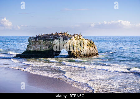 Arch Rock, Natural Bridges Park, Santa Cruz, Californie Banque D'Images