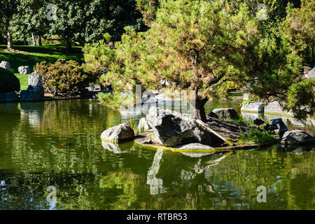 Arbres se reflétant dans un étang, Californie Banque D'Images