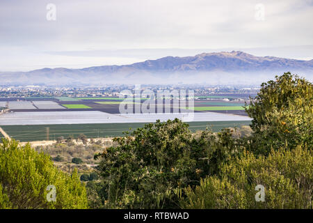 Paysage de Fort Ord National Monument, Salinas, Californie Banque D'Images