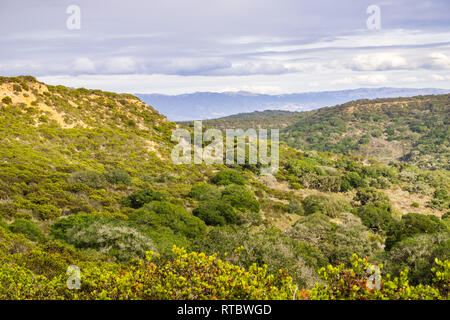Paysage de Fort Ord National Monument, Salinas, Californie Banque D'Images