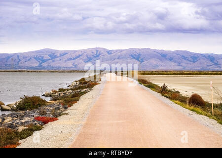 Vue vers le pic de la Mission de Moffett bay trail sur un jour nuageux, Sunnyvale, Californie Banque D'Images