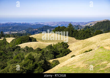 Vue vers l'océan Pacifique à partir de Santa Cruz Mountains, en Californie Banque D'Images