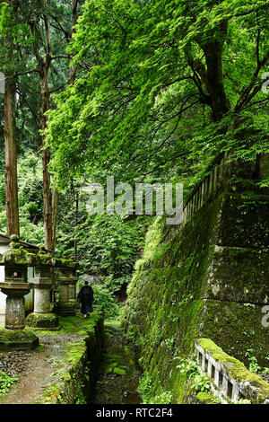 Un moine promenades le long de la mousse, un chemin recouvert d'arbres près d'un ruisseau à Nikko, Tochigi, au Japon. Banque D'Images