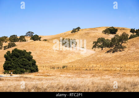 De l'herbe sèche couvrant les collines, Coyote Lake - Harvey Bear Park, Californie Banque D'Images