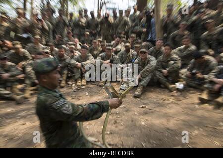 Une Marine royale thaïlandaise gère deux serpents au cours de survie dans la jungle de la formation dans le cadre d'or Cobra 19 à Ban Chan Krem, Royaume de Thaïlande, le 14 février 2019. Gold Cobra démontre l'engagement du Royaume de Thaïlande et des États-Unis à notre alliance de longue date, fait la promotion des partenariats régionaux et les progrès de la coopération en matière de sécurité dans la région Indo-Pacifique. Au cours de la formation Royal Thai Marines Marines a appris comment survivre dans les jungles du Royaume de Thaïlande. Banque D'Images