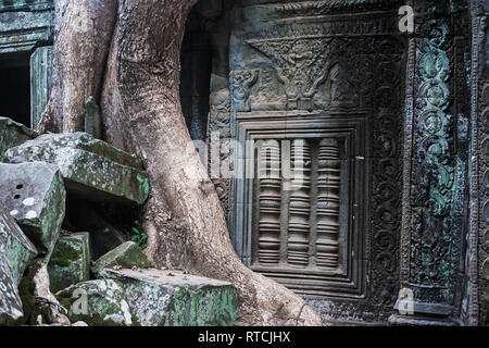 Détail de pierres sculptées et arbre-racine, cour intérieure, Ta Prohm, Angkor, Siem Reap, Cambodge Banque D'Images