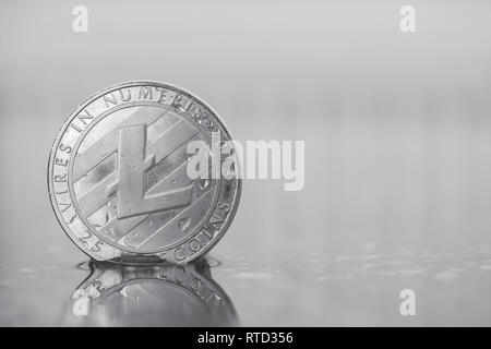 Pièce de monnaie physique à crypto-monnaie Litecoin LTC placée dans le marais d'eau. Objet encadré sur le côté gauche et photo en noir et blanc. Banque D'Images