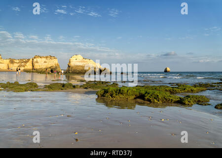 Rock formations sur une plage de Praia da Rocha à Portimão, Algarve, Portugal. La fin de l'après-midi du jour d'été ensoleillé. Banque D'Images